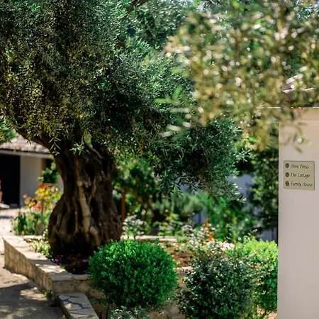 Villa Nissaki Olive Press